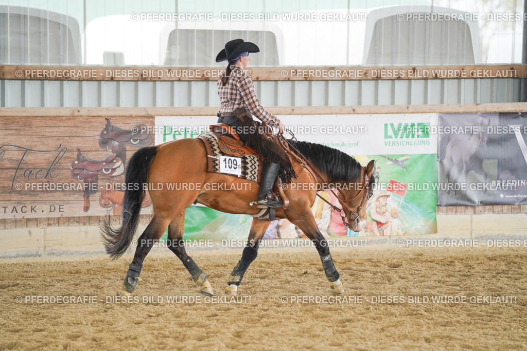 DSC05662 | Pferdegrafie