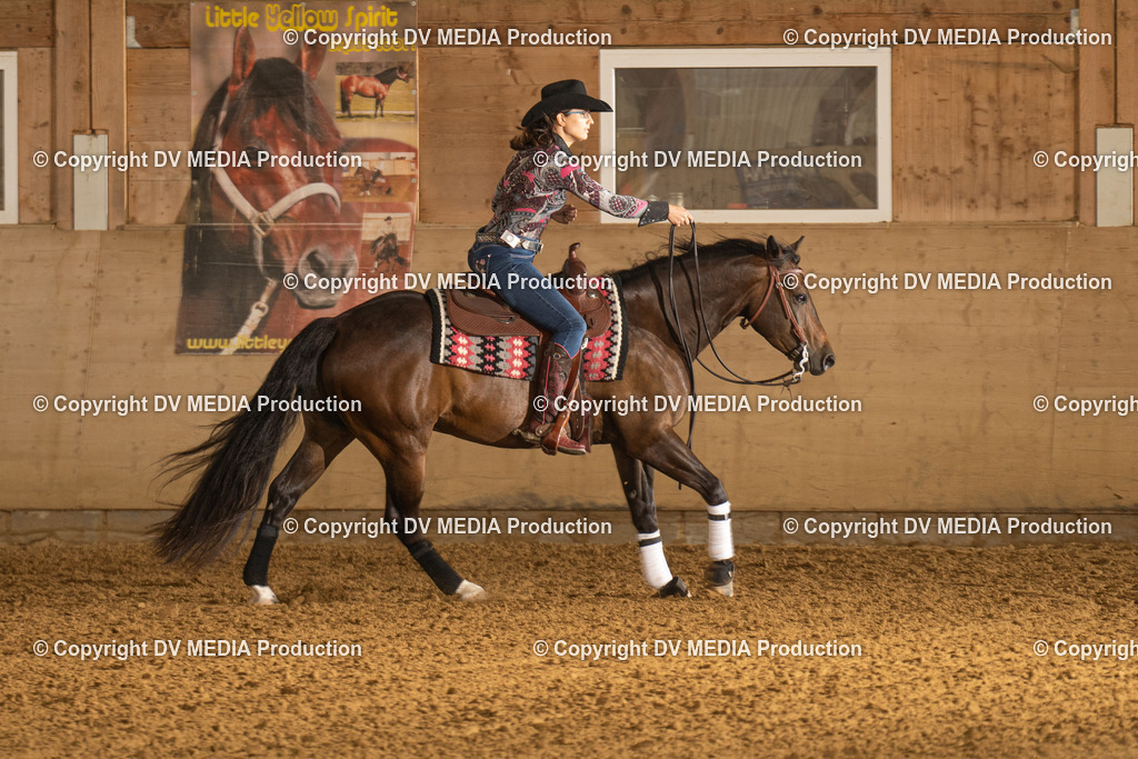 LAU00714 | dv-media-shop - Realisiert mit Pictrs.com