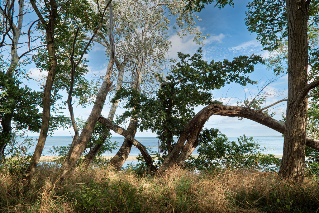 Hohenwieschendorf im Spätsommer | Ein Vormittag im Spätsommer 2023 an der Steilküste vor Hohenwieschendorf in Mecklenburg-Vorpommern.  - Realisiert mit Pictrs.com