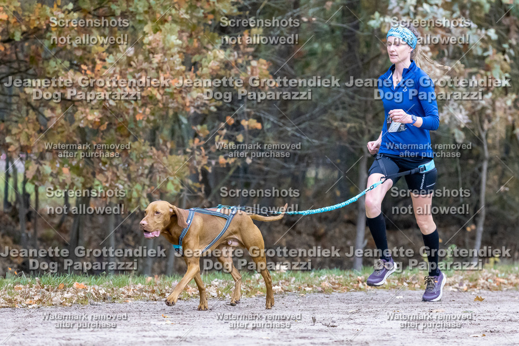 Dog Paparazzi - SD CaniX Championship 2025-129 | Dog Paparazzi Jeanette Grottendiek Fotografie & Videografie - Realisiert mit Pictrs.com