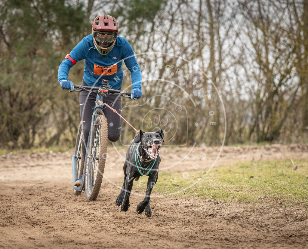 Pfotenfotografie_DV3A9536 | Hundefotografie, Tierfotograf, Pfotenfotografie, Fotoshooting Hund, Hunde Portrait, Hundesport, Hundeportraits, Heideshooting, Hunde, Sportfotograf, Hundefotograf, Turnierhundsport, THS,  - Realisiert mit Pictrs.com