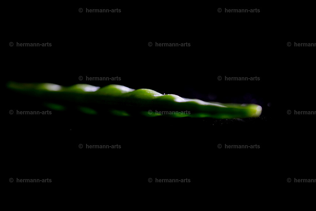 Fruits-Art-013 | Photo Foto Kunst Art schwarzweiss Bilder Rheine Münster Berlin Blumen 