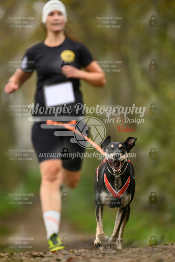 MompixPhotography_20TSB_E6_Run-106 | PayLife
