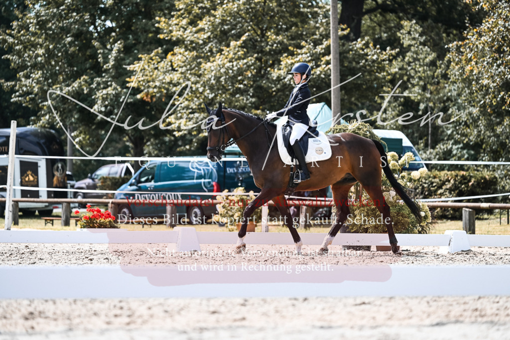 DSC_5751 | Pferde- und Turnierfotografie in Westsachsen. Pferdeportraits, Auftragszeichnungen und intuitive Kunst.