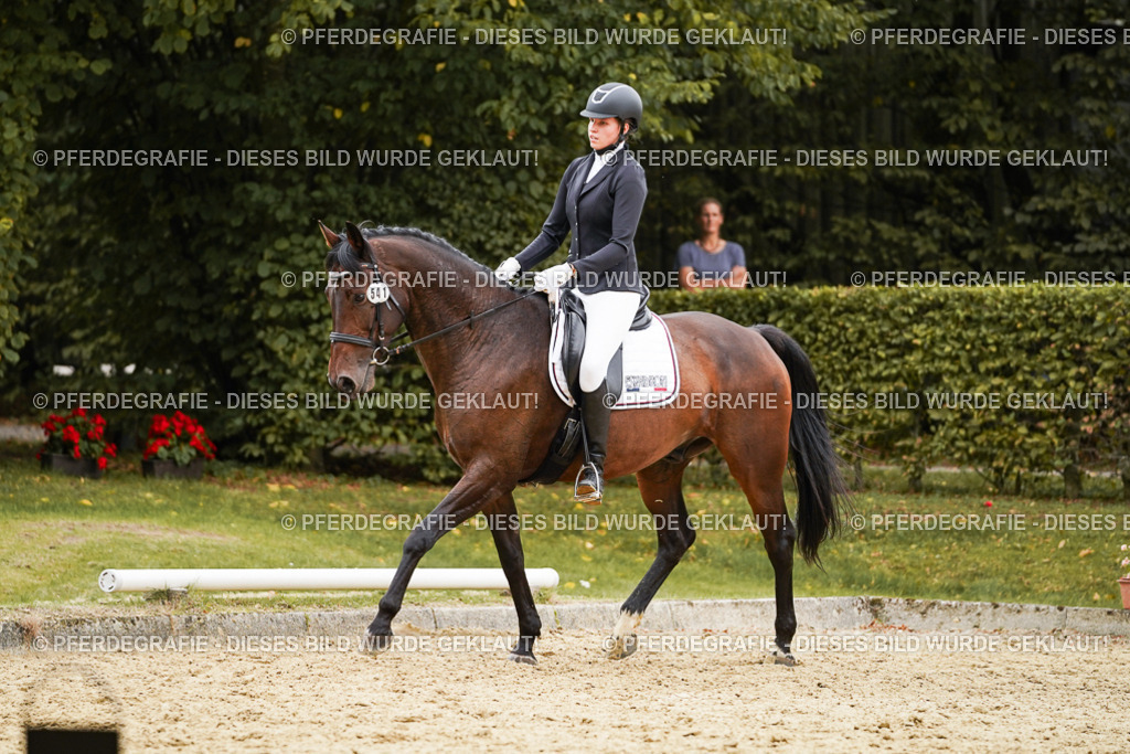 DSC00100 | Pferdegrafie