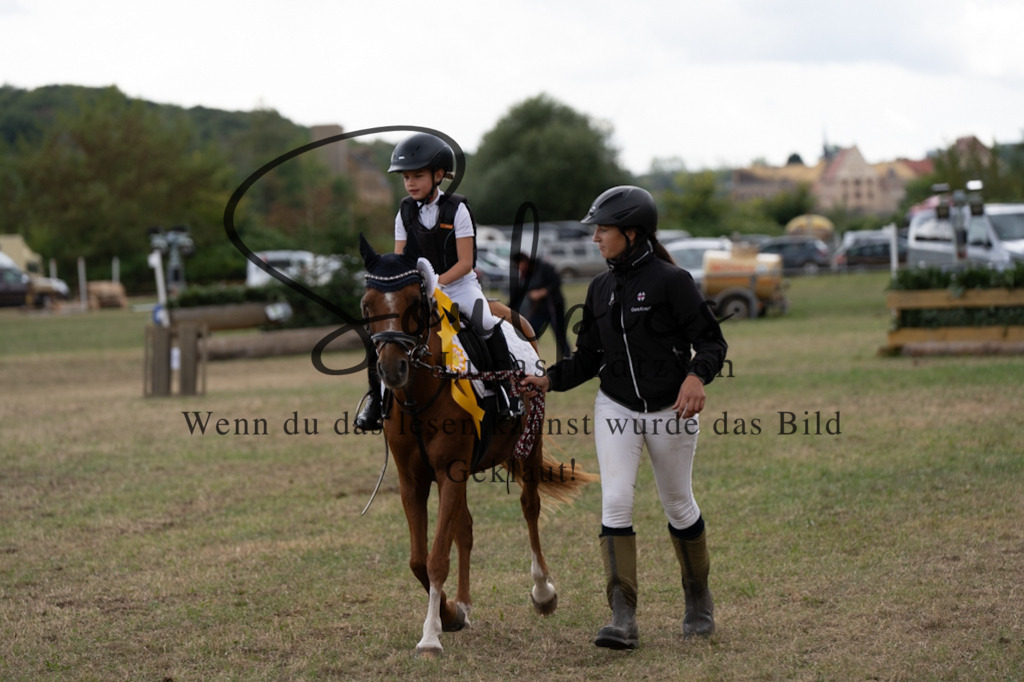 A7V01377 | Pferdefotograf