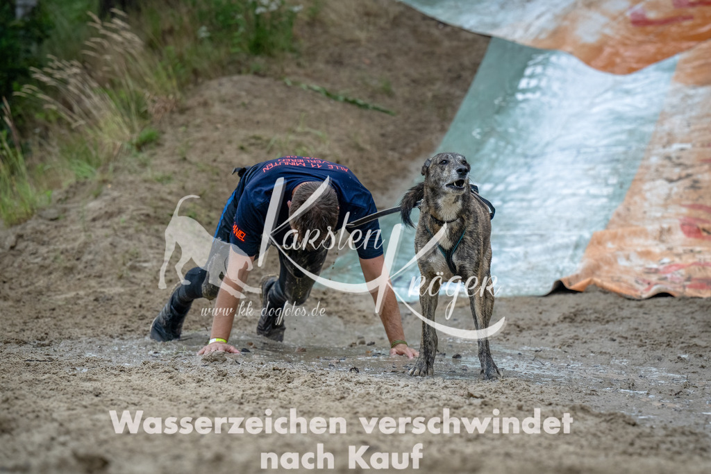 1240_ZZ94018-Bearbeitet-2 | kk-dogfotos