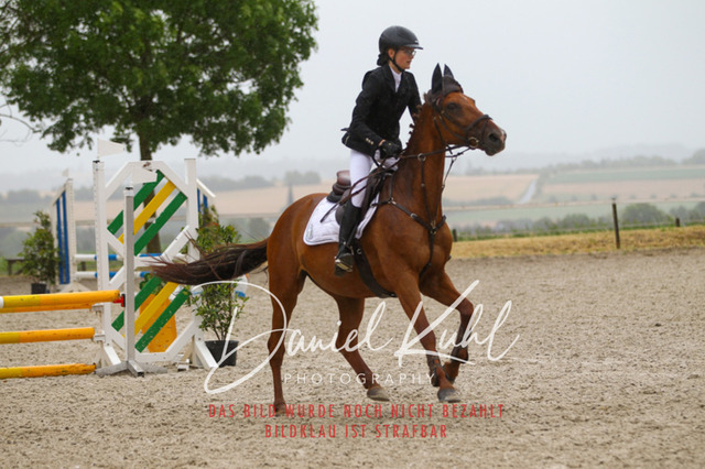 DKP47388 | Turniersportfotografie; Pferdefotografie; Dressurfotografie