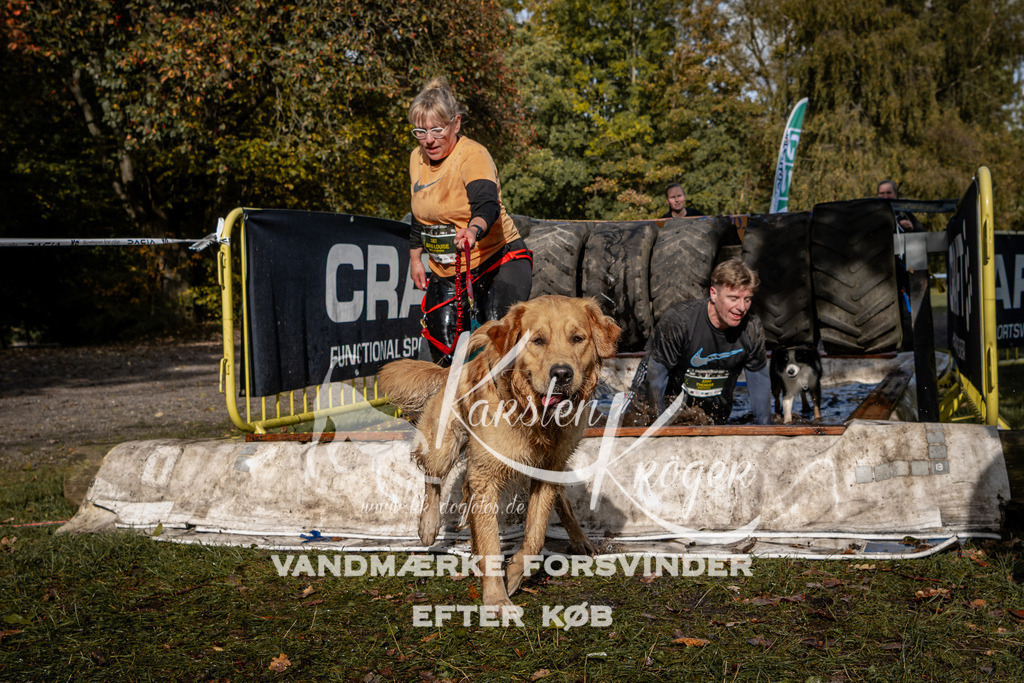 1304_ZZ91864 | kk-dogfotos