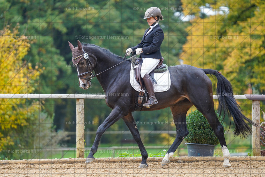 20221008-FAH01690 | Diessen am Ammersee, 2022, Dressur- und Springturnier, Reitsportbilder, Turnierfotografen Bayern, Pferdefotografen, Fotoagentur Herrmann, Turnierbilder