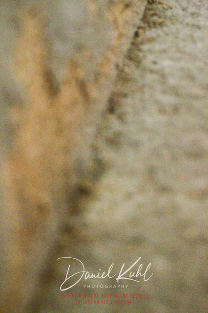 DKP44643 | Turniersportfotografie; Pferdefotografie; Dressurfotografie