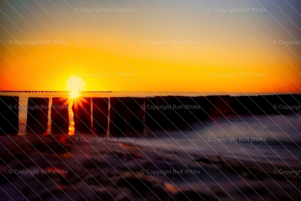 1D3A6472 | Rolf Wittke  - Realisiert mit Pictrs.com