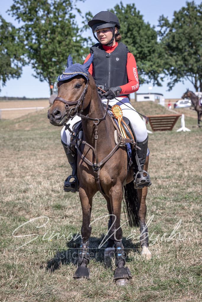 20260906-_3LI4446 | Tierfotografie Pferde, Hunde, Katzen, Haustiere.
Turnierfotografie Reitturniere, Reiten, Springreiten, Dressur in Hanau, dem Main-Kinzig-Kreis und dem Rhein-Main- Gebiet um Frankfurt