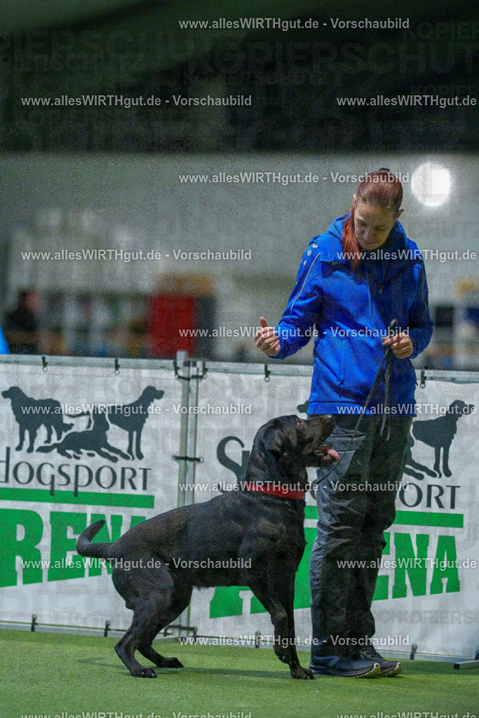 7R504114 | Professionelle Tierfotografie in Mönchengladbach von Daniel Wirth (allesWIRTHgut). Liebevolle & natürliche Bilder von Hunden & Katzen für unvergessliche Erinnerungen.