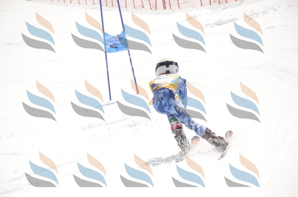 _ELE9537 | holidayphoto