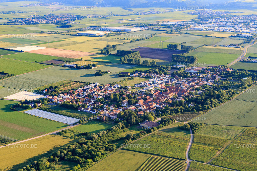 Ortsansicht aus Nordosten | Luftbild: Ortsansicht aus Nordosten in Obersülzen im Bundesland Rheinland-Pfalz in Deutschland. Foto: IMG_107696.jpg vom 03.06.2018 durch Werner Riehm/FLY-FOTO.de - Realisiert mit Pictrs.com