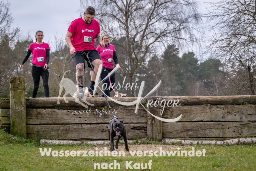 _ZZ91544 | kk-dogfotos