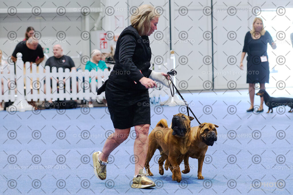 202406_ÖKV-IHA-Tulln24_DSC_2807 | proPHOTO - Realisiert mit Pictrs.com