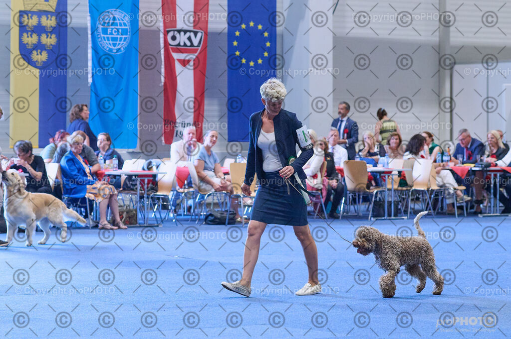 202406_ÖKV-IHA-Tulln24_DSC_4173 | proPHOTO - Realisiert mit Pictrs.com