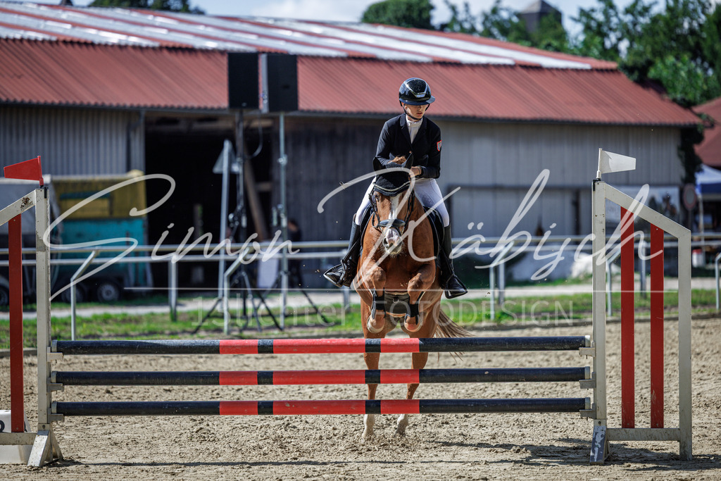 20260905-_3LI9370 | Tierfotografie Pferde, Hunde, Katzen, Haustiere.
Turnierfotografie Reitturniere, Reiten, Springreiten, Dressur in Hanau, dem Main-Kinzig-Kreis und dem Rhein-Main- Gebiet um Frankfurt