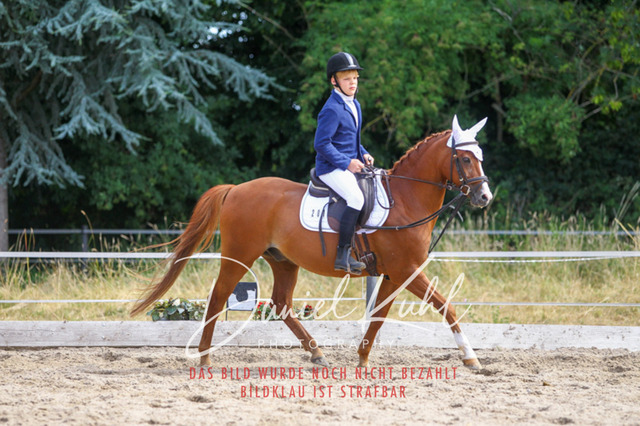 DKP46053 | Turniersportfotografie; Pferdefotografie; Dressurfotografie