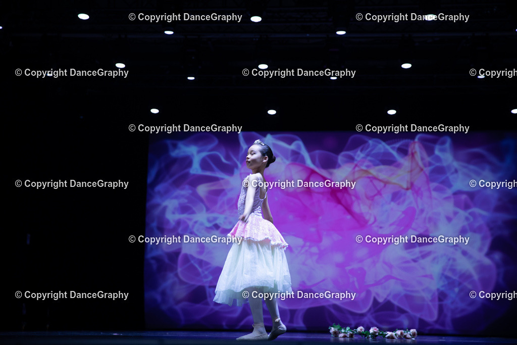 GPHY4798 | DanceGraphy - Realisiert mit Pictrs.com