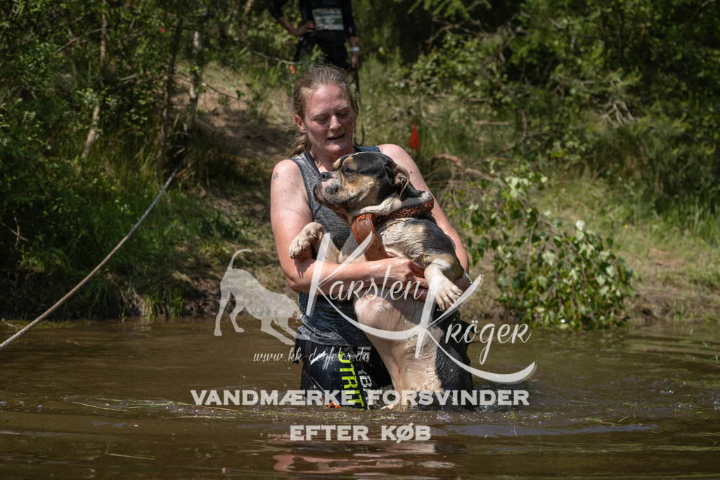 1333DKK994315 | kk-dogfotos