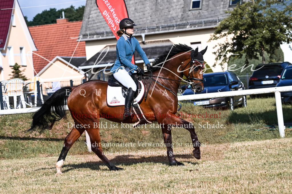 DSC_7552 | Pferde- und Turnierfotografie in Westsachsen. Pferdeportraits, Auftragszeichnungen und intuitive Kunst.