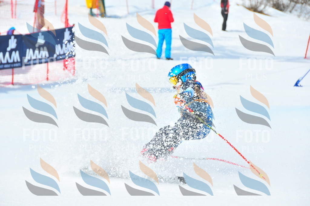 DSC_3191 | holidayphoto