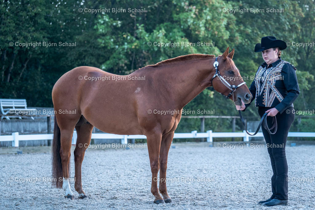 HOB07610 | BS-foto