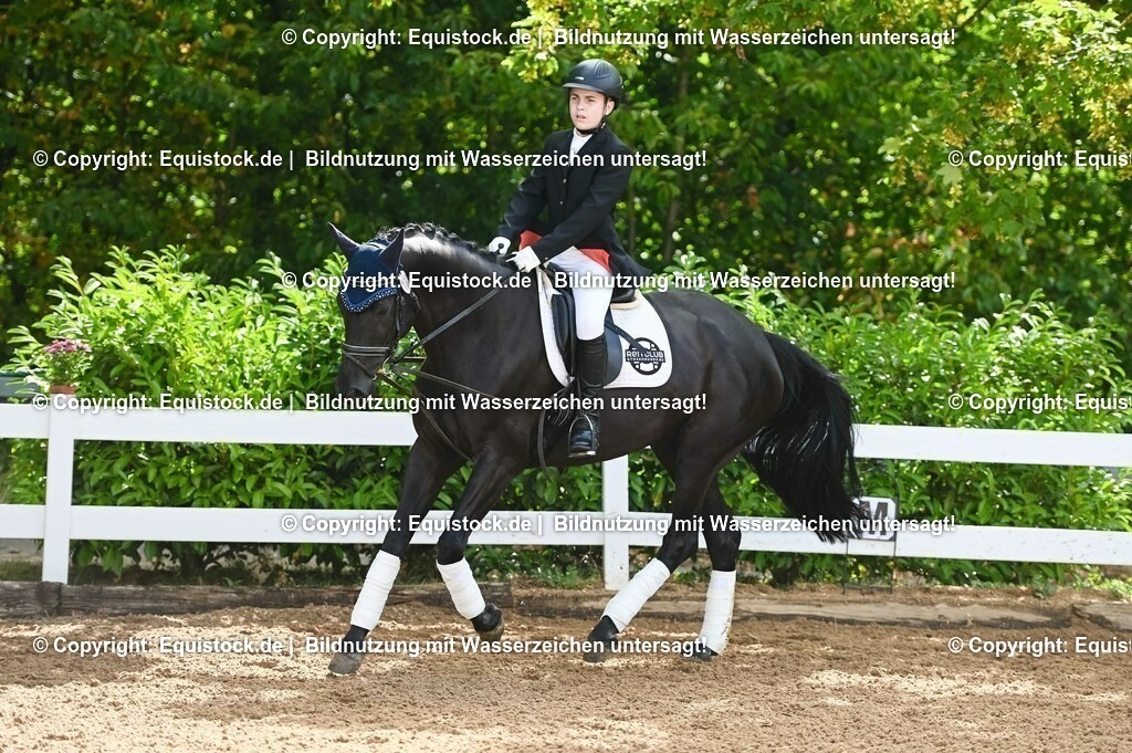 20230716_10-1_Reiter-WB Schritt - Trab - Galopp_0146 | equistock