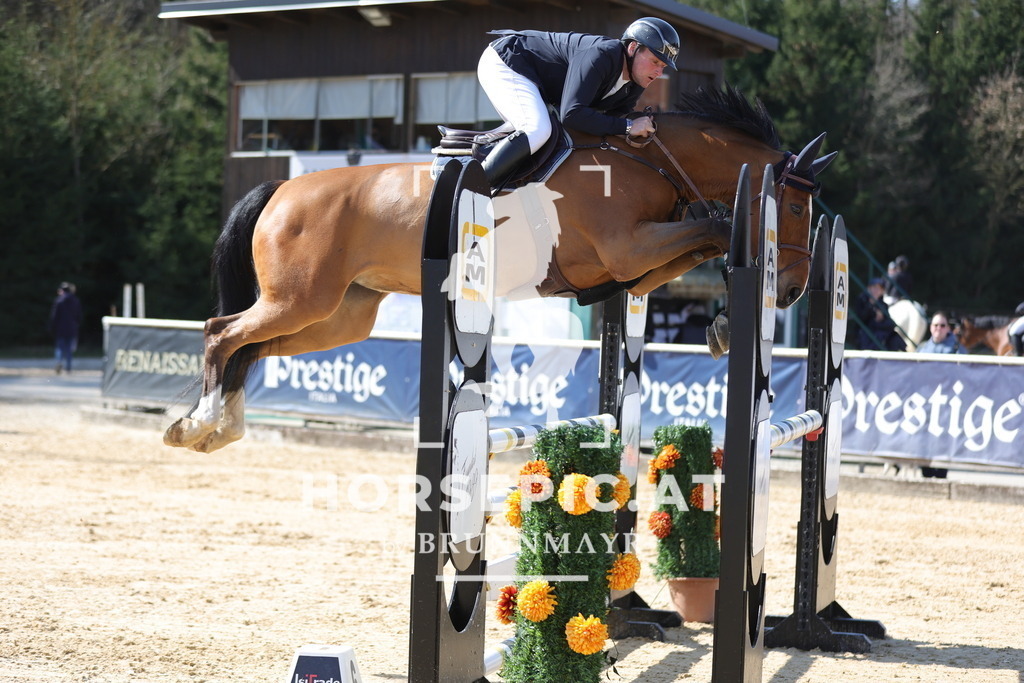 0P6A0885 | Willkommen bei Brunnmayr - Design & Fotografie – Ihrem Spezialisten für Reitturniere und Pferdeveranstaltungen in Oberösterreich, Salzburg und Bayern! Seit über 17 Jahren sind wir leidenschaftlich dabei.