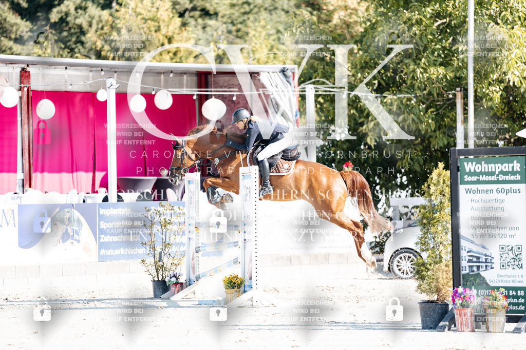 CK901990 | Turnierfotografie Pferdefotografie Trier Rheinland-Pfalz Pferdesport Reitsport Tierfotografie Sportfotografie Pferdevideo Pferdevideografie Equestrianvideography equestrianphotography  - Realisiert mit Pictrs.com