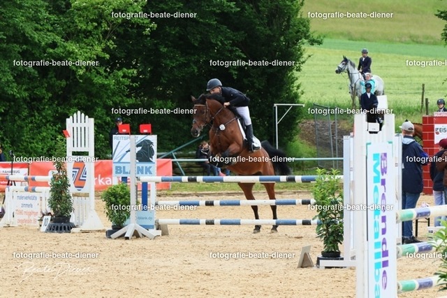 OHT1831 | Fotografie, Tiere, Hunde, Katzen, Pferde, Sportfotografie, Fotosession, Tierfotografie, Turnierfotografie, Fotografin, Fotograf - Realisiert mit Pictrs.com
