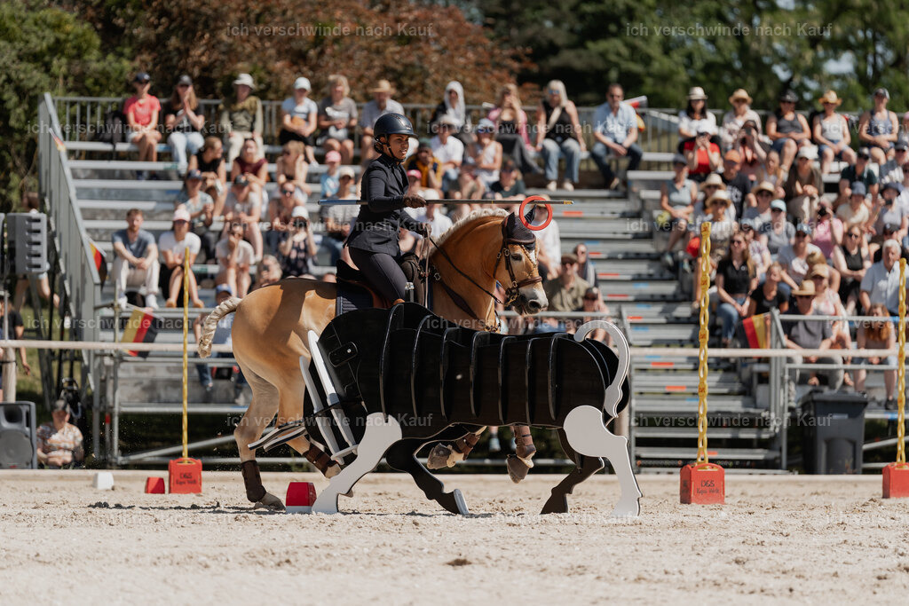 WE_SP_Stoib_308_PI2025_1618 | Pferd International München 2025