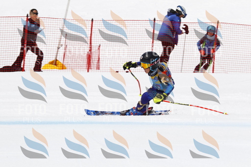 _U3G7104 | holidayphoto