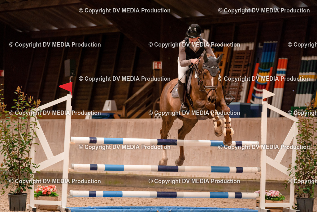 Springen Tag 1-559 | dv-media-shop - Realisiert mit Pictrs.com