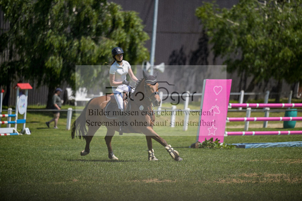Reitturnier Voxtrup | Entdecke hochwertige Reitturnierfotos von Foto Oger. Professionell, emotional und authentisch – jetzt Lieblingsmomente im Shop bestellen. - Realisiert mit Pictrs.com