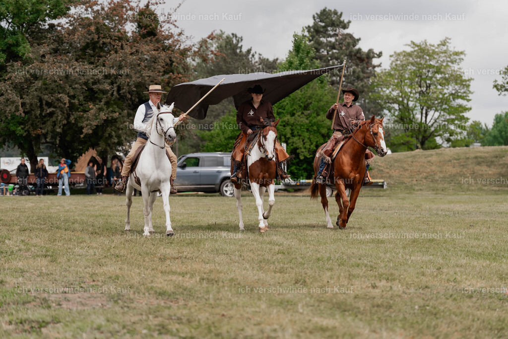 Showprogramm-104 | working equitationturnier fotograf videograf stoibphotography marixx film working equitation deutschland reitsport turnierfotografie eventfotografie equestrian events