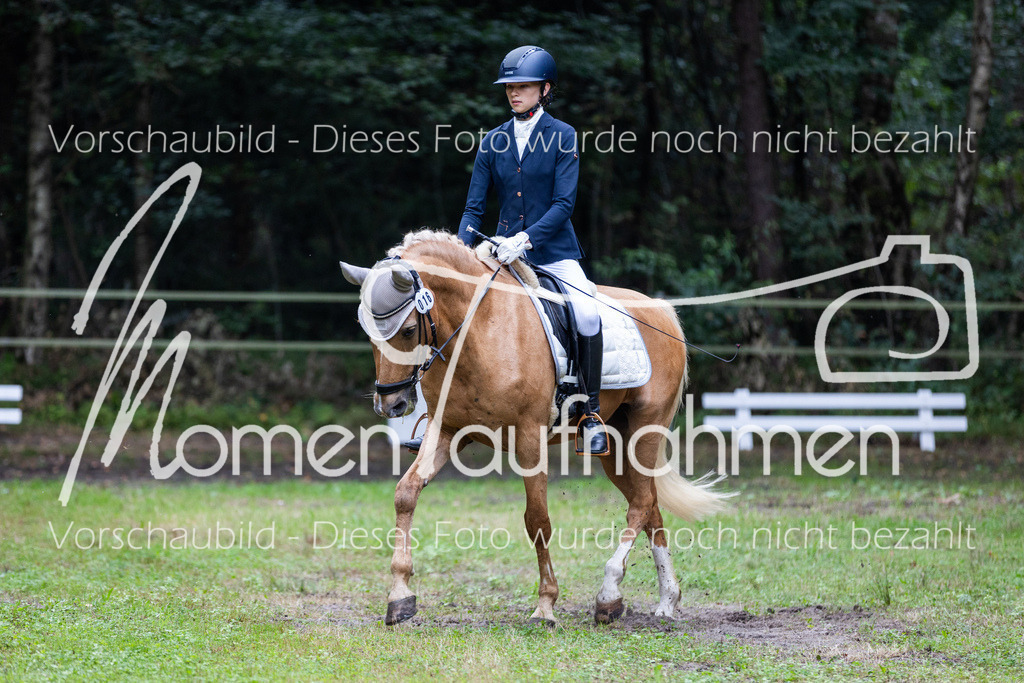 HB-A-Dressur-013 | MomenTaufnahmen Pferdesportfotos