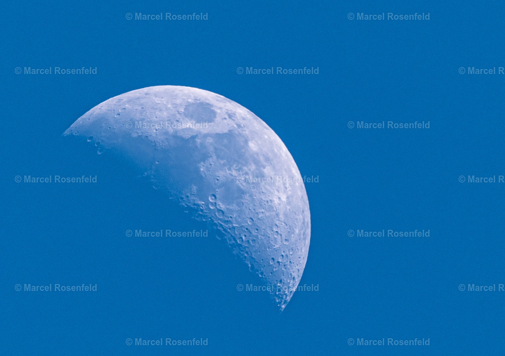 _DSC4840 | foto-rosenfeld