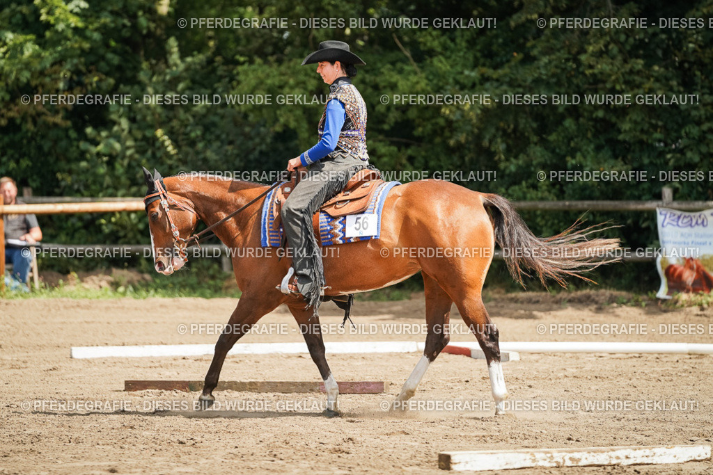 DSC06184 | Pferdegrafie