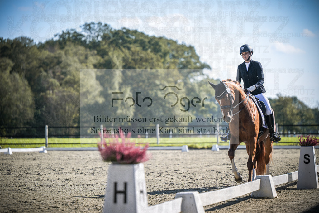 DOS_2753 | Entdecke hochwertige Reitturnierfotos von Foto Oger. Professionell, emotional und authentisch – jetzt Lieblingsmomente im Shop bestellen.Deutschlandweite Turnierfotografie. - Realisiert mit Pictrs.com