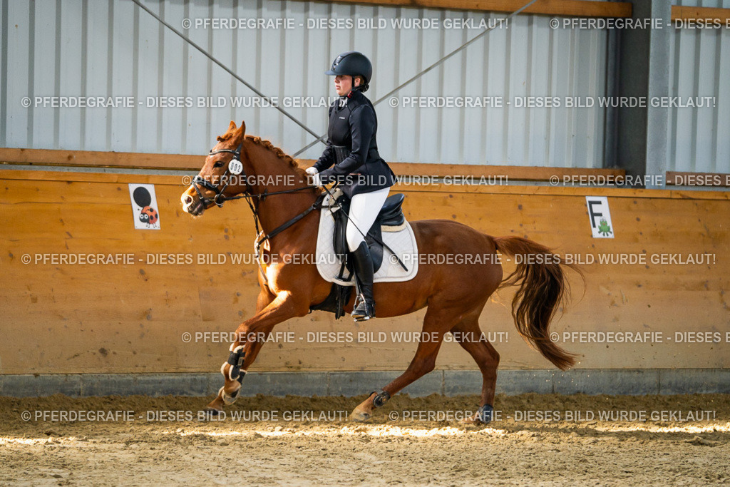 DSC01447 | Pferdegrafie