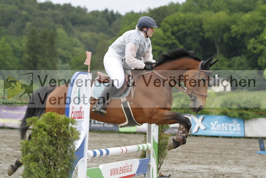 _MG_3775 | equestrian-live-com