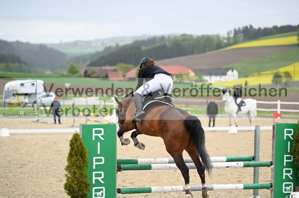 DSC_0035 | equestrian-live-com