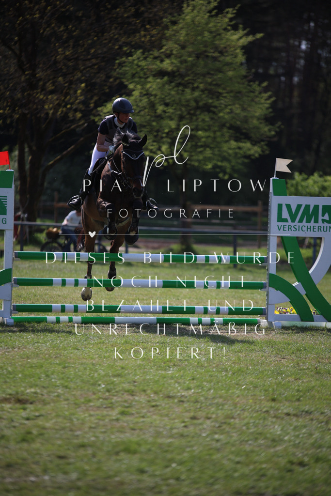 IMGT9102 | pl-fotografie