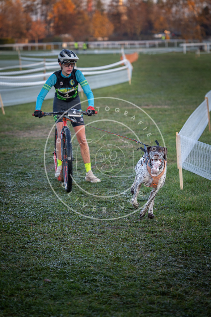 CaniXpix_0L8A1025 | Hundefotografie, Tierfotograf, Pfotenfotografie, Fotoshooting Hund, Hunde Portrait, Hundesport, Hundeportraits, Heideshooting, Hunde, Sportfotograf, Hundefotograf, Turnierhundsport, THS,  - Realisiert mit Pictrs.com