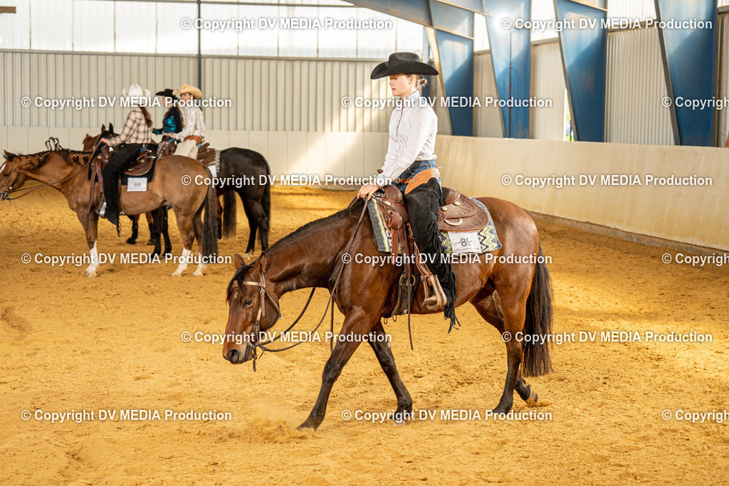 MIT00967 | dv-media-shop - Realisiert mit Pictrs.com