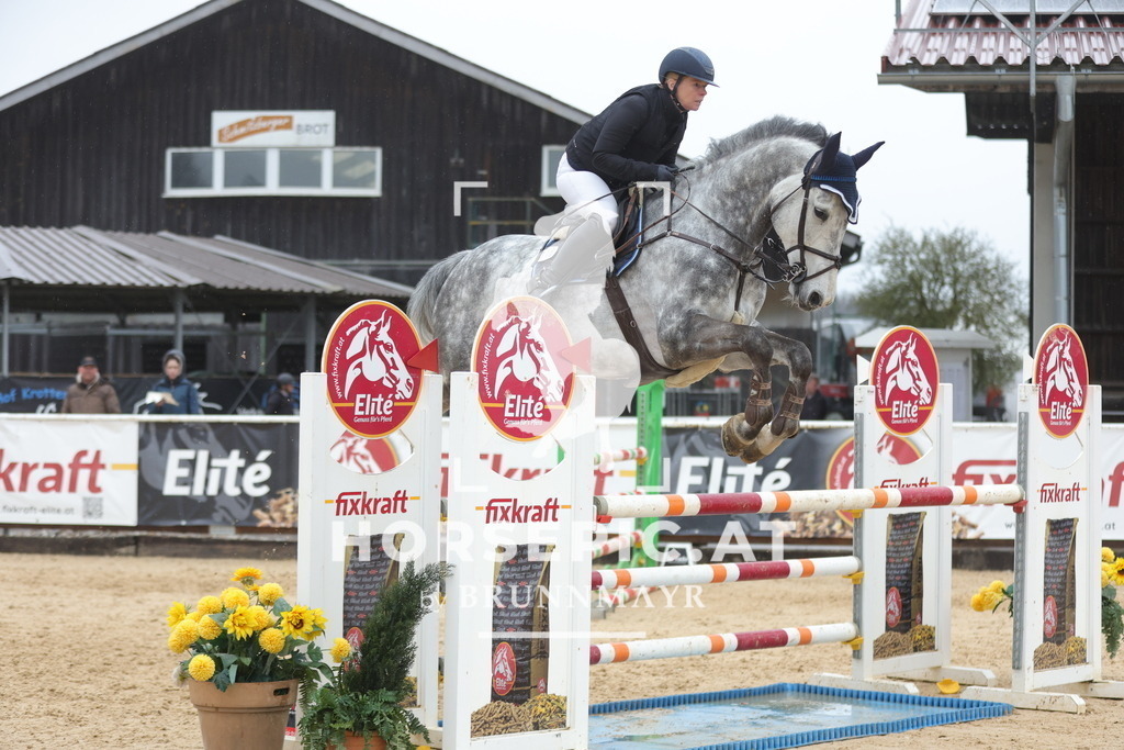 0P6A1273 | Willkommen bei Brunnmayr - Design & Fotografie – Ihrem Spezialisten für Reitturniere und Pferdeveranstaltungen in Oberösterreich, Salzburg und Bayern! Seit über 17 Jahren sind wir leidenschaftlich dabei.